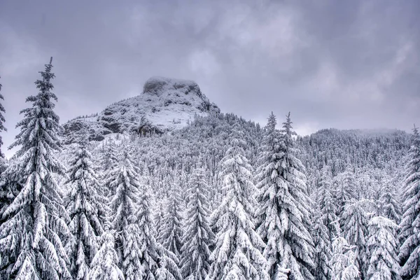 Beautiful winter landscape in the mountains, slovakia mala fatra — стоковое фото