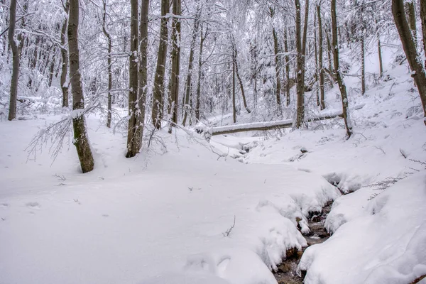 Paisaje de invierno, arroyo en el bosque, Eslovaquia — Foto de Stock