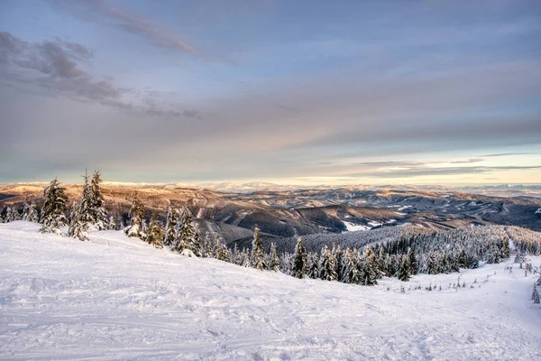 Vackert vinterlandskap med små kullar och snötäckta granar. czech beskydy — Stockfoto