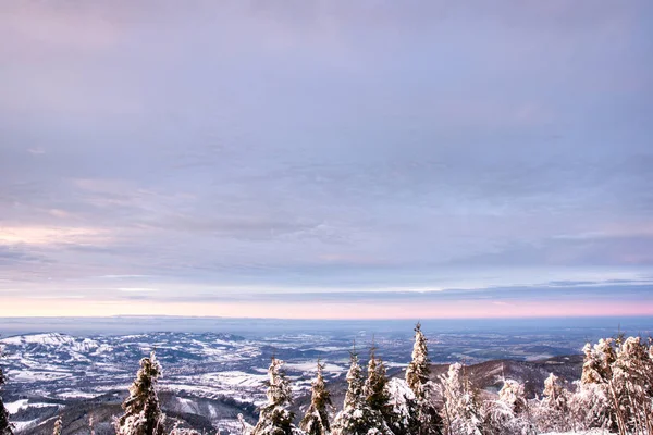 Fantastische orangefarbene Abendlandschaft, die vom Sonnenlicht erleuchtet wird. Dramatische winterliche Szene mit verschneiten Bäumen. — Stockfoto