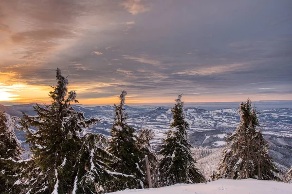 Prachtig winterlandschap met besneeuwde bomen bij zonsondergang, Tsjechisch beskydy — Stockfoto