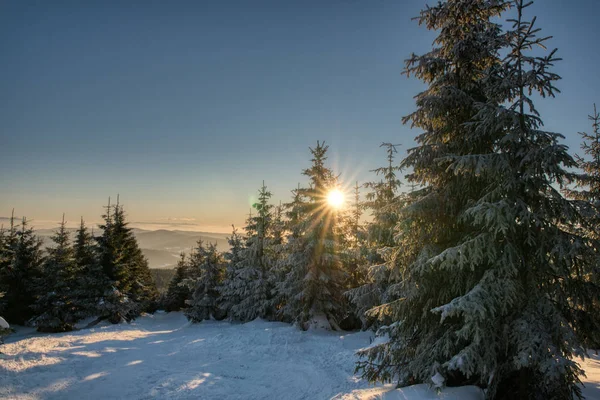 Nieve montaña fauna checa beskydy — Foto de Stock