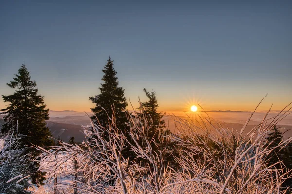 El valle de la montaña en la majestuosa luz roja del amanecer. Mañana fría de invierno. checo beskydy lysa hora — Foto de Stock