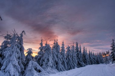Taze bir karla dağ köyüne giden yol güneşin görkemli kırmızı ışığında. Soğuk kış vadisi. czech beskydy