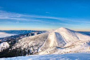 Kış ormanı günbatımı manzarası. Noel harikalar diyarında gün batımında kar ormanı. Kış günbatımı kar ormanı panoramik manzara
