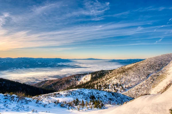 Winter bergen dramatische kleurrijke zonsopgang panorama van mala fatra. Slowakije — Stockfoto