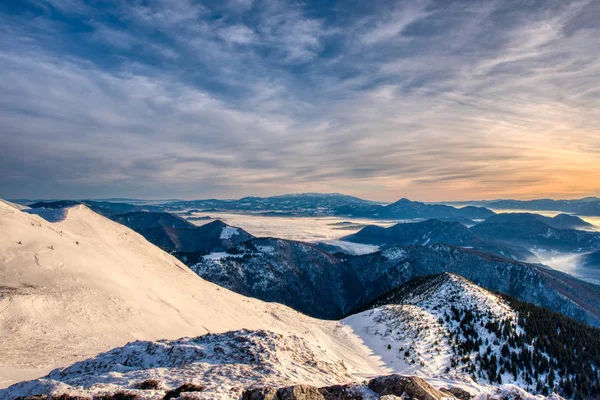 Krásné zimní panorama s čerstvým prachovým sněhem. Krajina se smrky, modrá obloha. Slovensko Malá Fatra — Stock fotografie