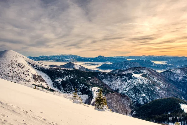 Foto van pittoreske hooglanden met sneeuwbergen, dennenbomen, lucht en mist in Slovakije — Stockfoto