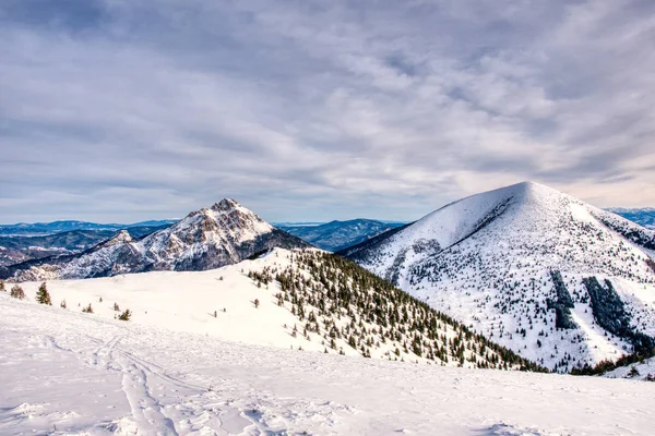 Velky Rozsutec and Stoh stacked with snow in winter, slovakia — стоковое фото