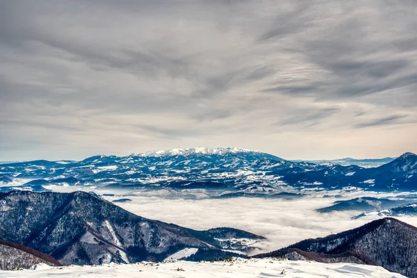 Sníh a mlha na Slovensku — Stock fotografie