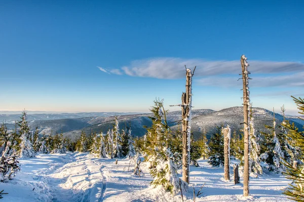 Schneebedeckte Bäume in der Winterlandschaft. Beskiden im Winter sonniger Tag, Tschechien. — Stockfoto