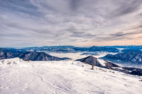 Foto von malerischem Hochland mit Schneebergen, Tannen, Himmel und Nebel in der Slowakei — Stockfoto