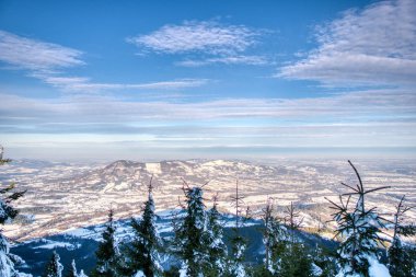 Güneşli bir günde Dağ Ormanı 'nda muhteşem bir Noel sahnesi. Güzel kış manzarası Sevimsiz Czech, Avrupa