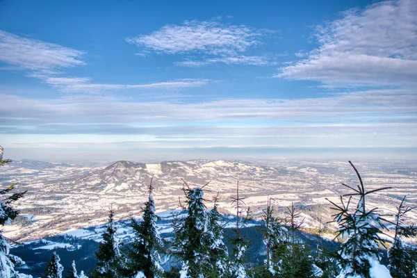 Güneşli bir günde Dağ Ormanı 'nda muhteşem bir Noel sahnesi. Güzel kış manzarası Sevimsiz Czech, Avrupa