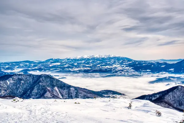 Foto de pintorescas tierras altas con montañas de nieve, abetos, cielo y niebla en Eslovaquia — Foto de Stock