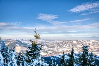 Güneş ışığıyla parlayan görkemli beyaz şeritler. Resimli ve muhteşem kış manzarası. Avrupa Czech 