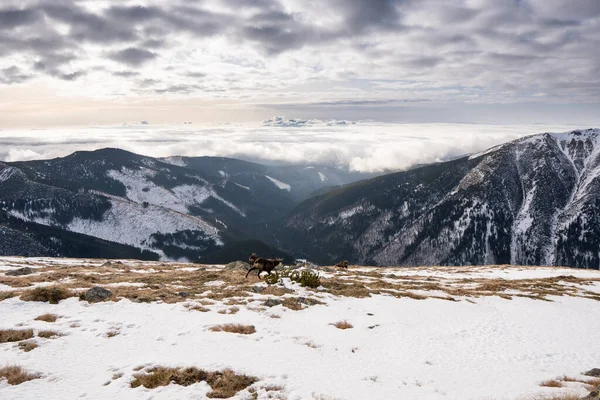 Schneebedeckte Berge Mit Wolken Und Nebel Tal Niedere Tatra Dumbier — Stockfoto