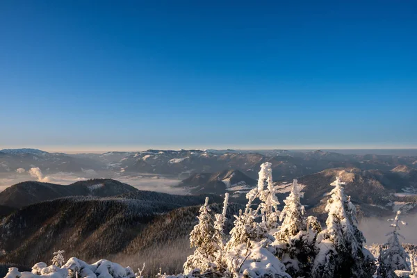 Winterlandschap Bergen Verlicht Bij Zonsopgang Slowakije Velky Choc — Stockfoto