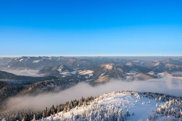 Зимний Пейзаж Горах Освещается Восходе Солнца Туманом Долине Красивыми Снежными — стоковое фото