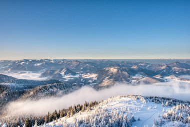 Güneşin doğuşunda ağaçlarda karla kaplı muhteşem kış manzarası, Slovakya Velky Choc