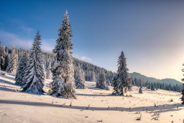 Dağlardaki güneş tarafından güzelce aydınlatılmış ve karla kaplı, Slovakya kadife çikolatası