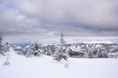 Beskydy Dağları, Slovakya Beskid Dağları 'nda karla kaplı güzel kış tepeleri manzarası
