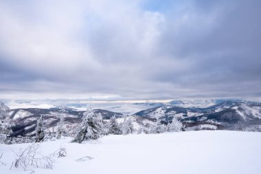 Beskydy Dağları, Slovakya Beskid Dağları 'nda karla kaplı güzel kış tepeleri manzarası