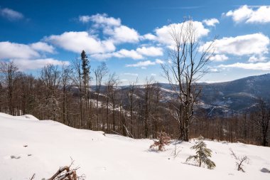 Güneş, Slovakya ve Beskids ile dağlarda muhteşem kış manzaraları
