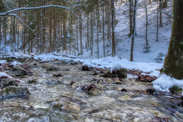 Mountain Stream Snowy Landscape Mountains Slovakia Mala Fatra — Stock Photo, Image