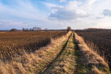 Günbatımında, arka planda ağaçlarla tarlada sürülen güzel toprak yol.