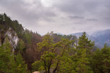 Sulov Kayalıkları 'ndaki rock şehrinin kalıntıları, Sulovske Kayaları bir Slovakya ulusal rezervidir.