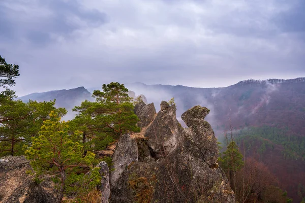 Resten Van Rotsstad Sulov Rocks Sulovske Rocks Een Slowaaks Nationaal — Stockfoto