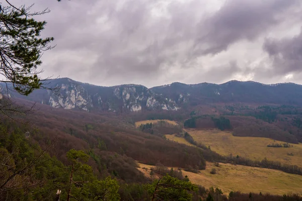 Sulov Kayalıkları Ndaki Rock Şehrinin Kalıntıları Sulovske Kayaları Bir Slovakya — Stok fotoğraf