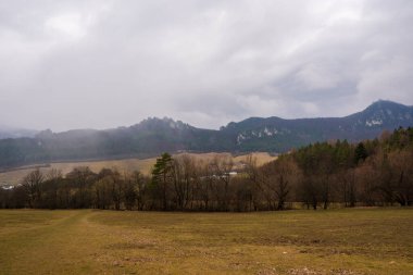 Sonbahardan sonra pek çok yaprağın kaldığı ormandan geçen bir yolculuk.