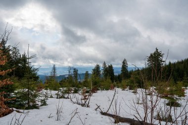 İlkbaharda dağlarda eriyen karlar ve yollarla akıp giden sular, güzel gökyüzü ile güneşli bir gün, Çek Beskydy