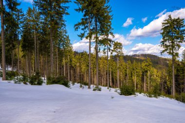 Güzel bahar dağları güzel bir gökyüzü ve güneşli bir gün ile küçük bir kar ile, czech beskydy
