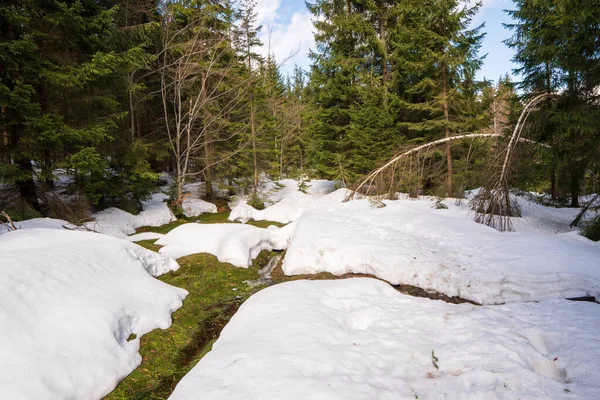 Smeltende Sneeuw Bergen Het Voorjaar Water Aflopen Met Paden Zonnige — Stockfoto