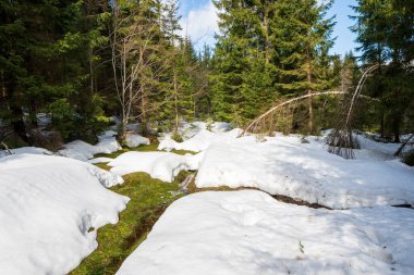 İlkbaharda dağlarda eriyen karlar ve yollarla akıp giden sular, güzel gökyüzü ile güneşli bir gün, Çek Beskydy