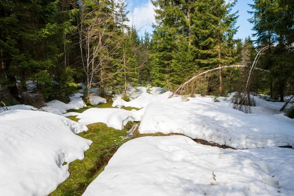 Smeltende Sneeuw Bergen Het Voorjaar Water Aflopen Met Paden Zonnige — Stockfoto