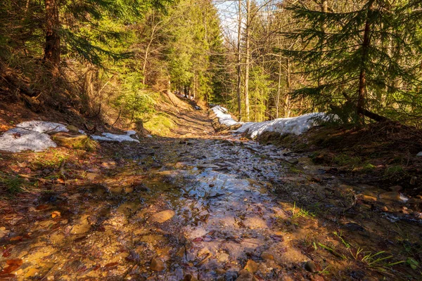 Water Flowing Road Mysterious Snow Mountains Spring — Stock Photo, Image