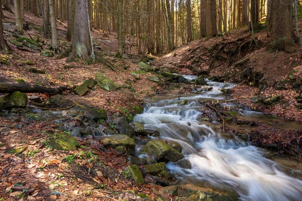 Brook Snow Melting Spring Tusk Fallen Leaves Autumn Czech — Stock Photo, Image