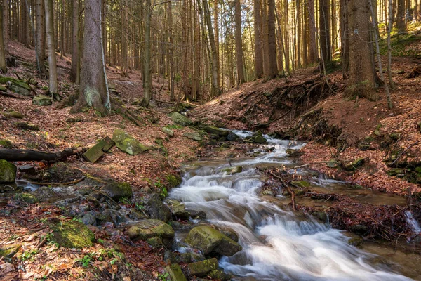 Brook Snow Melting Spring Tusk Fallen Leaves Autumn Czech — Stock Photo, Image