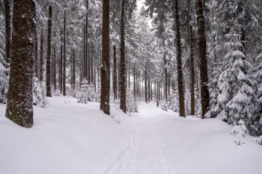 Dağlarda yürüyüş yolu karla kaplı güzel kış manzarası