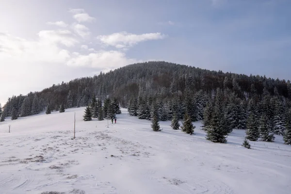 Invierno Nieve Bosque Paisaje Frío Árbol Montaña Naturaleza Cielo Árboles —  Fotos de Stock