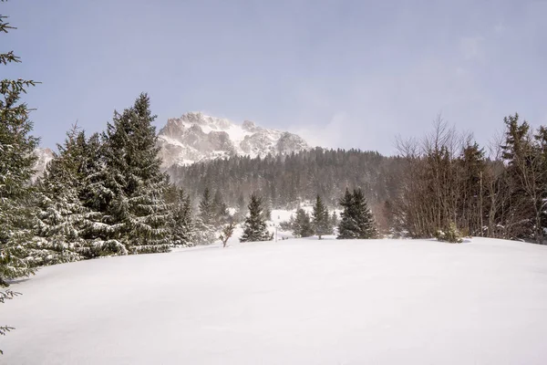 Prado Las Montañas Bosque Fondo Con Cresta Cubierta Nieve Invierno —  Fotos de Stock