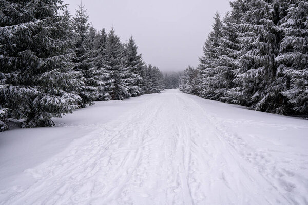 road in mountains covered with snow with spruce trees around, czech Beskydy mountains Lysa Hora