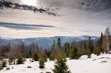 Kış manzarası dağlarda güneş ışığı altında güzel bulutlarla, Polonya Beskids
