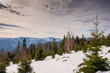 Kış manzarası dağlarda güneş ışığı altında güzel bulutlarla, Polonya Beskids