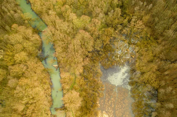 Vista Aérea Del Río Con Pantanos Final Del Invierno — Foto de Stock