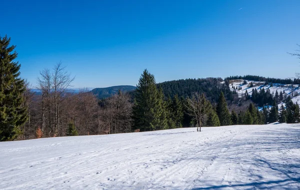 Prados Final Del Invierno Con Nieve Montañas Fondo Beskydy Checo — Foto de Stock